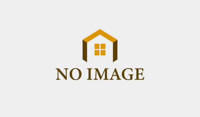 no image no image